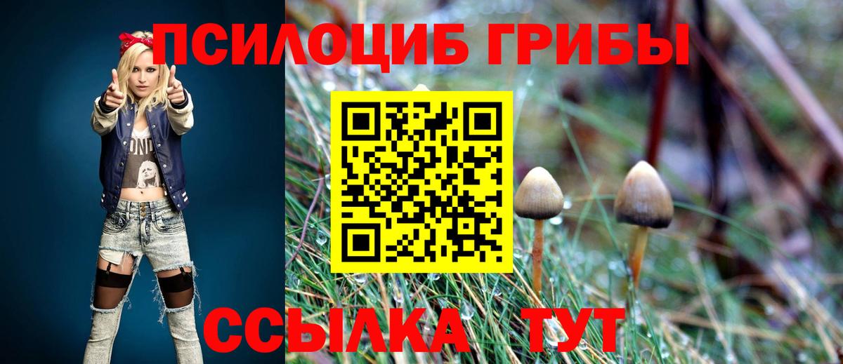 Галлюциногенные грибы мицелий  Вход с VPN  Кировск 